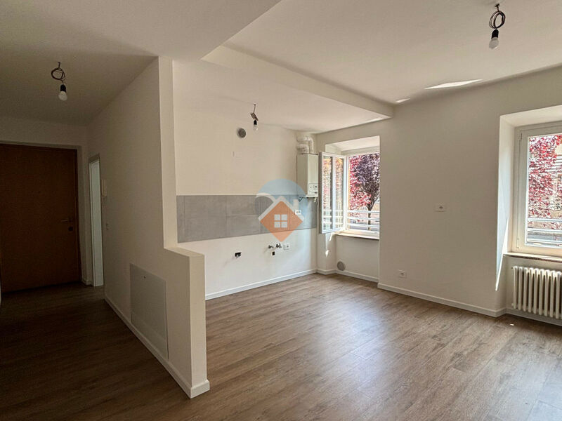 Rovereto - AMPIO TRILOCALE RISTRUTTURATO A NUOVO