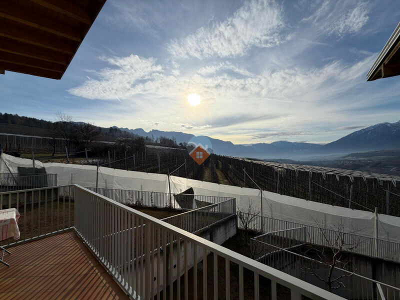 Predaia - Quadrilocale SEMINUOVO con box doppio, stube ecc...