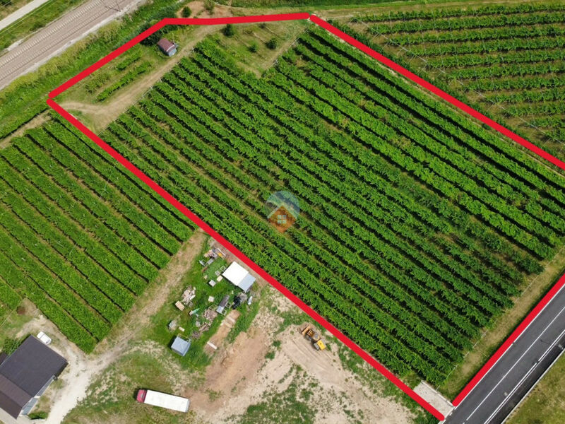 terreno agricolo 7.900mq con comoda strada di accesso