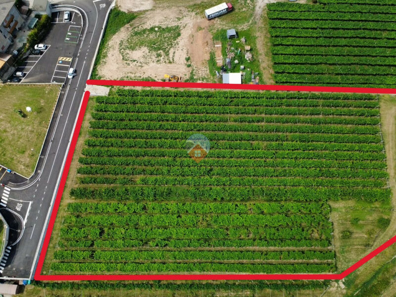Volano - terreno agricolo 7.900mq con comoda strada di accesso
